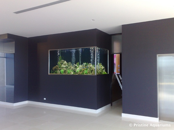 Custom Built Aquariums Sydney Gallery | Custom Fish Tanks Sydney