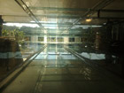 9M or 30 foot fishes run